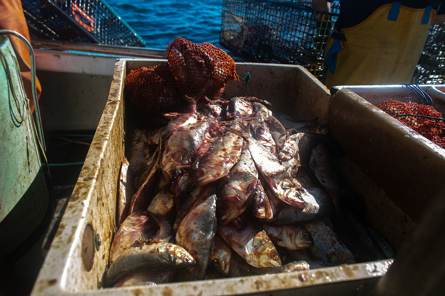 04b_Lundberg_Robert_Lobstermen_Winter_Harbor