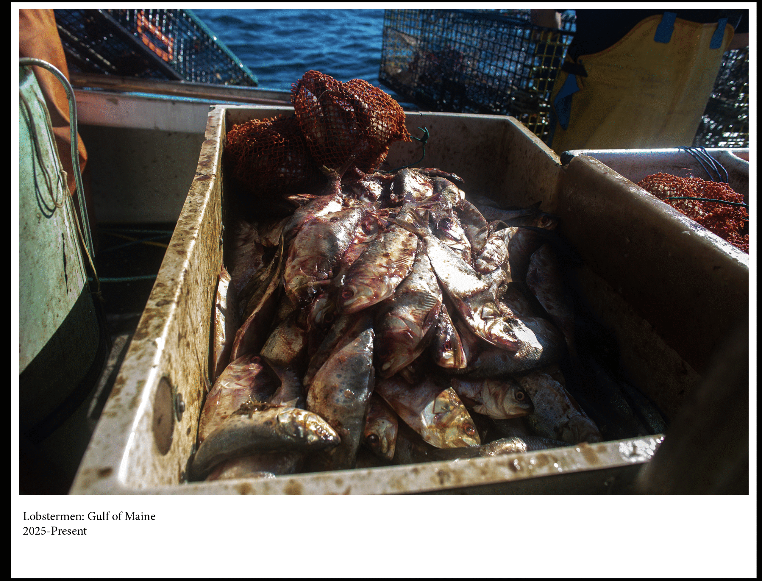 Screenshot 2026-01-27 at 8.44.59 PM