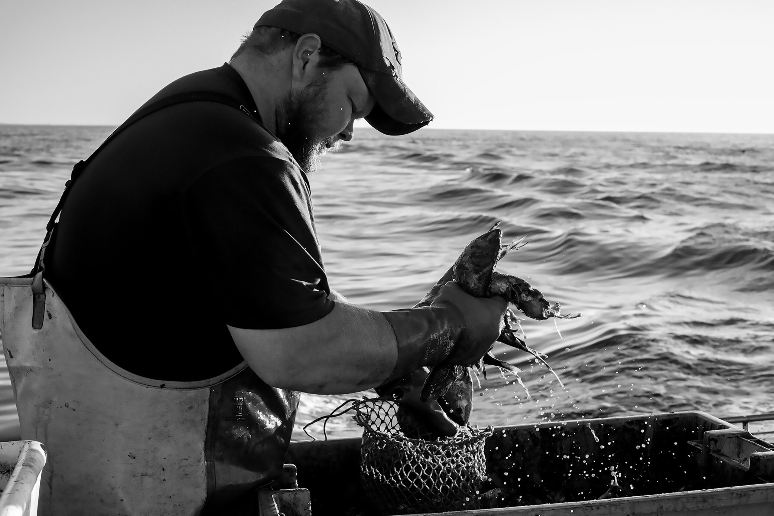 Freeman_bait_bw_02 Freeman_bait_bw_02